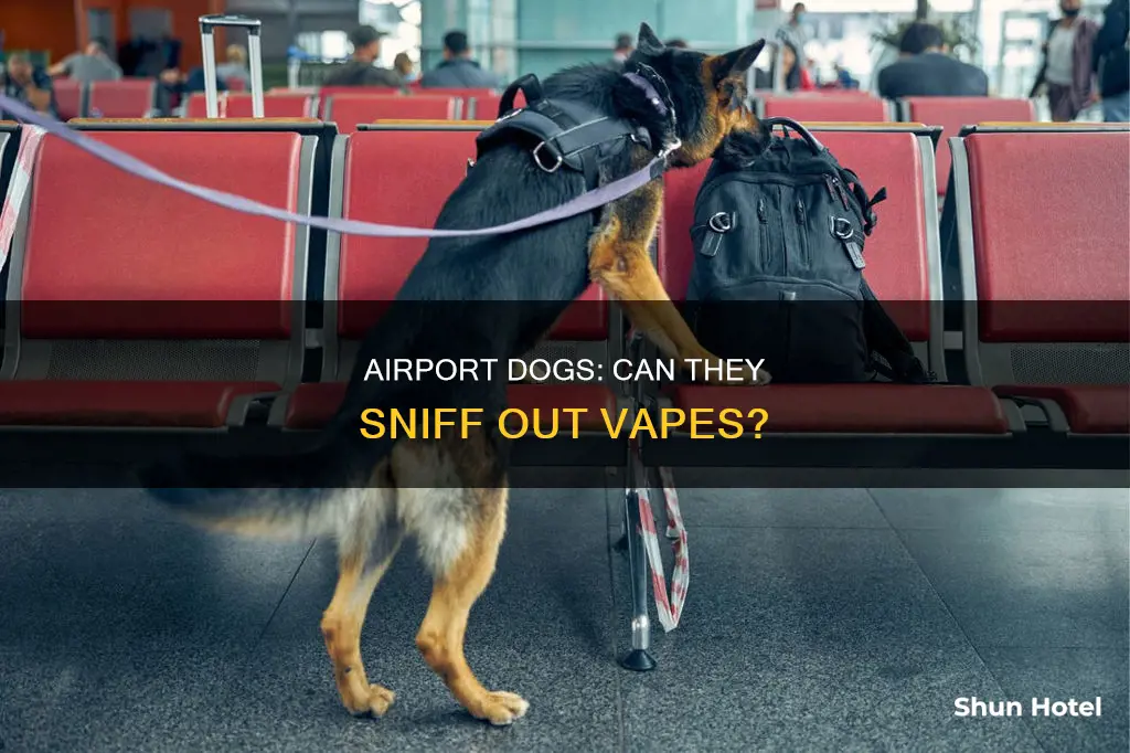 can airport dogs smell carts