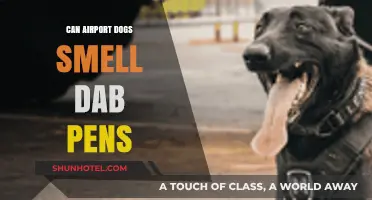 Airport Sniffer Dogs: Can They Detect Dab Pens?
