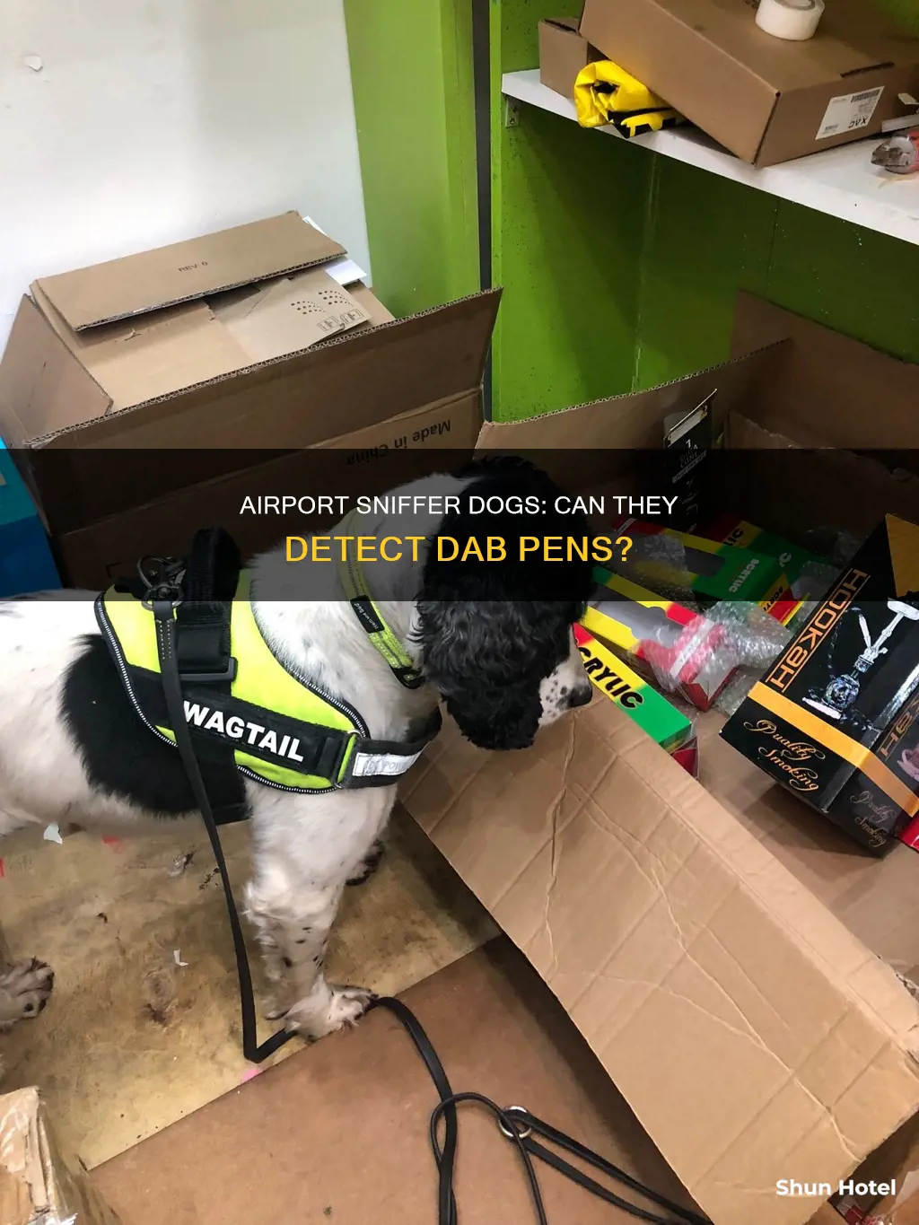 can airport dogs smell dab pens