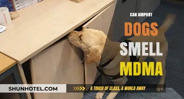Airport Dogs: Sniffing Out MDMA and More