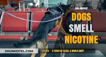 Airport Dogs: Sniffing Out Nicotine?