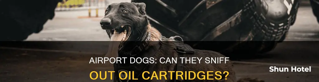 can airport dogs smell oil cartridges