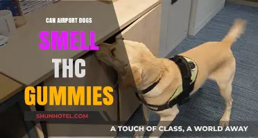 Airport Dogs: Can They Sniff Out THC Edibles?