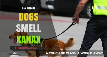 Airport Sniffer Dogs: Can They Detect Xanax?