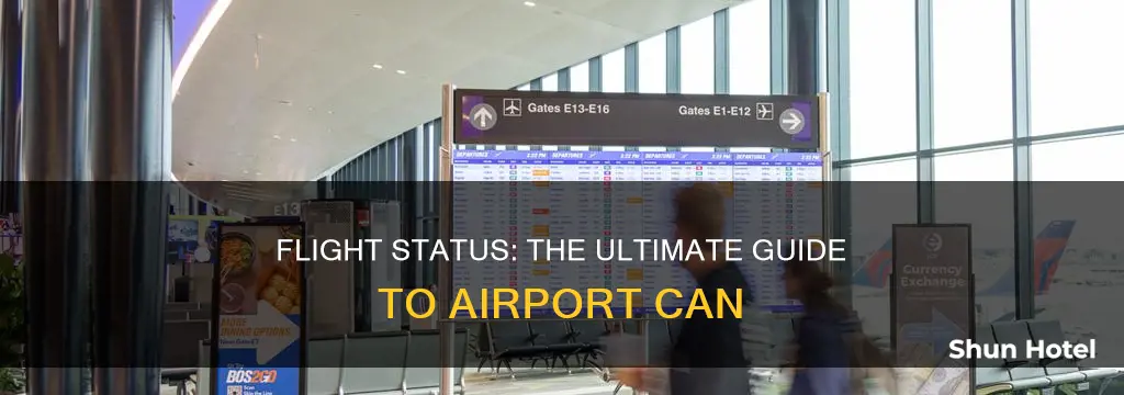 can airport flight status