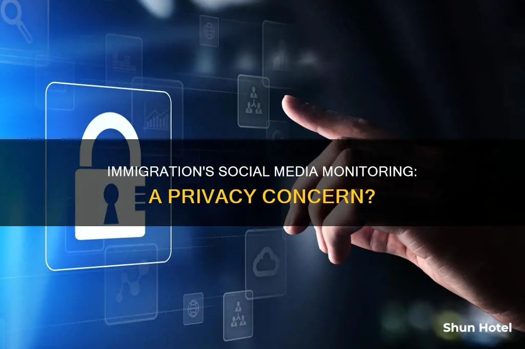 can airport immigration look at your social media