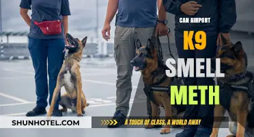 K9 Units: Sniffing Out Drugs at Airports