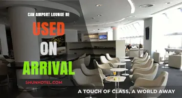 Using Airport Lounges: Even on Arrival?