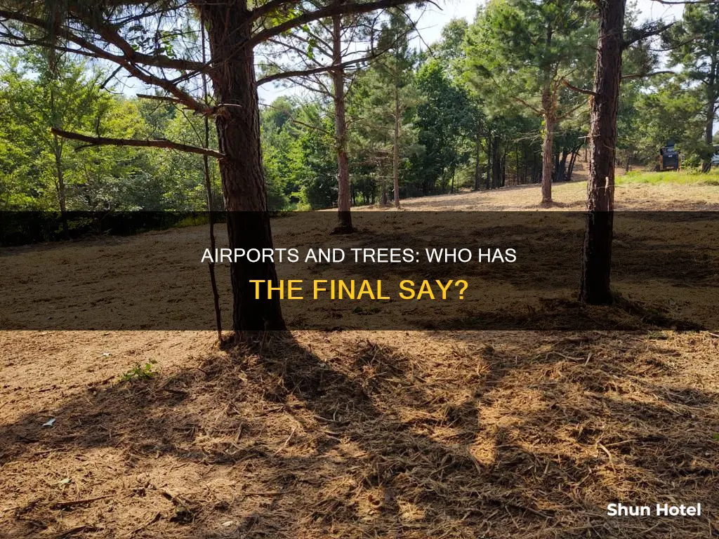 can airport make you cut trees down on my property