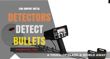 Metal Detectors and Bullets: What Airport Security Can Detect