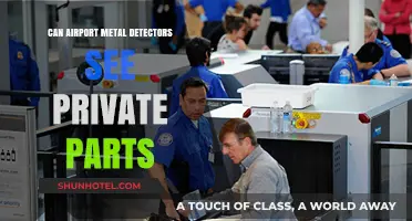 Airport Metal Detectors: Can They See Private Parts?