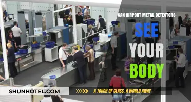 Airport Metal Detectors: Can They See Your Body?
