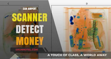 Airport Scanners: Can They Detect Money?