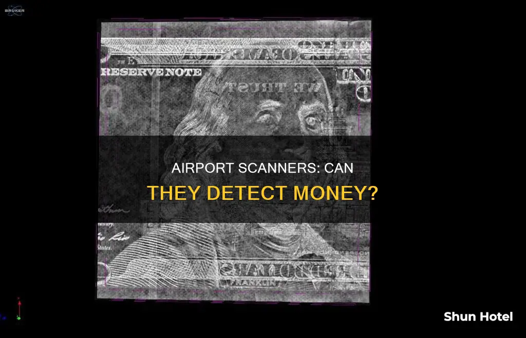 can airport scanner detect money