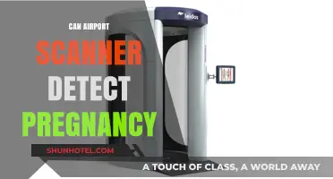 Airport Scanners: Can They Detect Pregnancy?