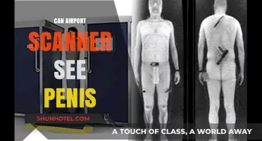 Airport Scanners: Can They See Your Penis?