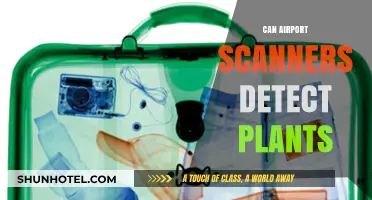 Airport Scanners: Can They Detect Plants?