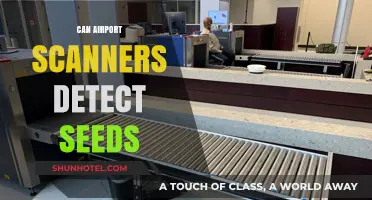Airport Scanners: Can They Detect Seeds?