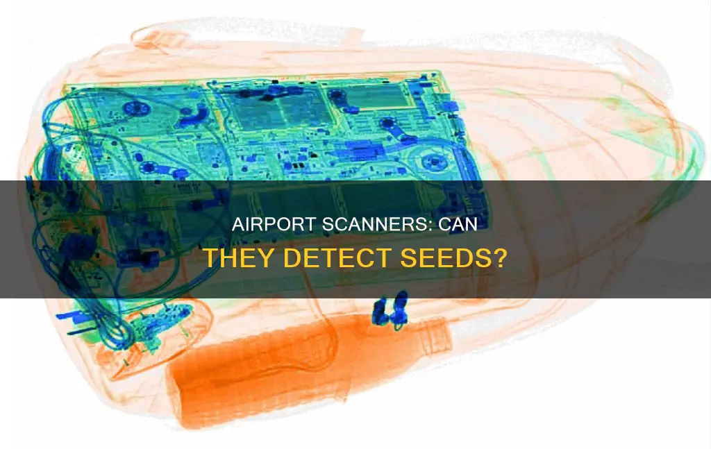 can airport scanners detect seeds