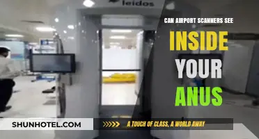 Airport Scanners: Can They See Inside Your Anus?