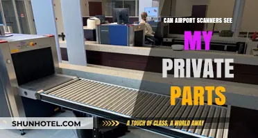 Airport Scanners: Can They See Private Parts?