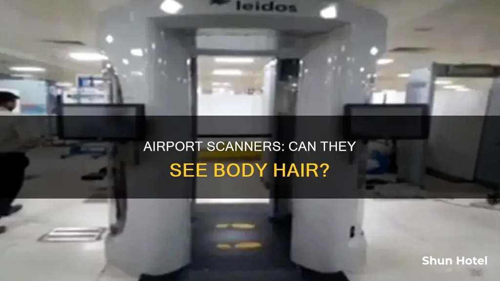 can airport scanners see pubic hair