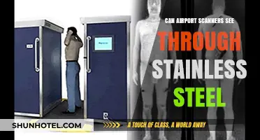 Airport Scanners: Can They See Through Stainless Steel?