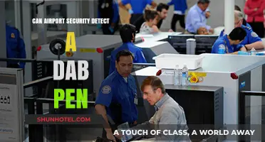 Airport Security and Dab Pens: What's the Deal?
