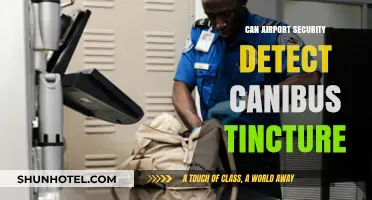 Airport Security and Cannabis Tinctures: What's the Deal?
