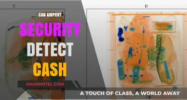 Airport Security and Cash: What's the Deal?