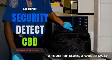 CBD and Airport Security: What You Need to Know