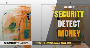 Airport Security and Money: Can They Detect It?