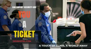 Airport Security: Can They Issue Fines?