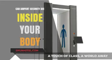 Airport Security: Body Scanners and Privacy