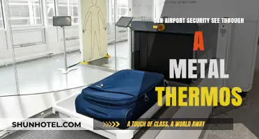 Airport Security: Can They See Through Metal?