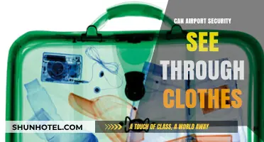 Airport Security: Can They See Through Clothes?
