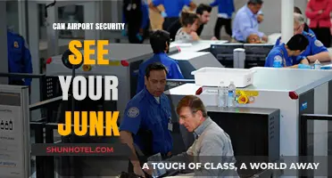 Airport Security: Can They See Your Private Parts?