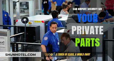 Airport Security: Can They See Your Private Parts?
