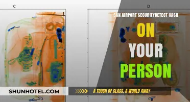 Airport Security and Cash: Can They Detect It?