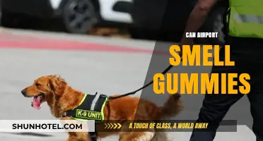 Airport Security: Can They Smell Your Gummies?