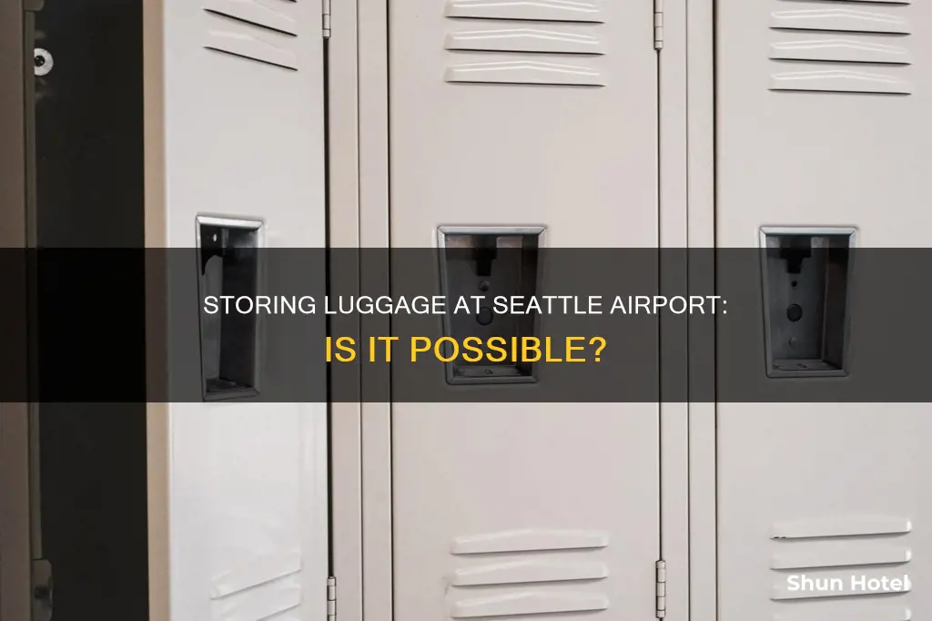 can airport store luggage at seattle airport