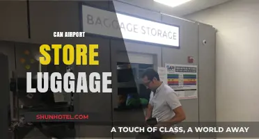 Airport Luggage Storage: A Traveler's Convenience