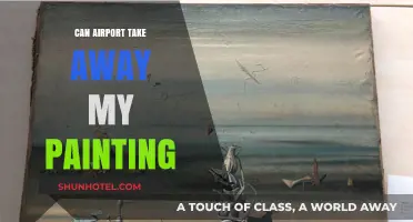 Airport Art Seizure: Can They Take My Paintings?