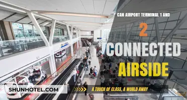 Exploring Airside Connections: Terminals 1 and 2