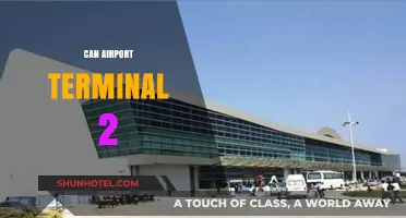The Evolution of Airport Terminals: Can They Transform?