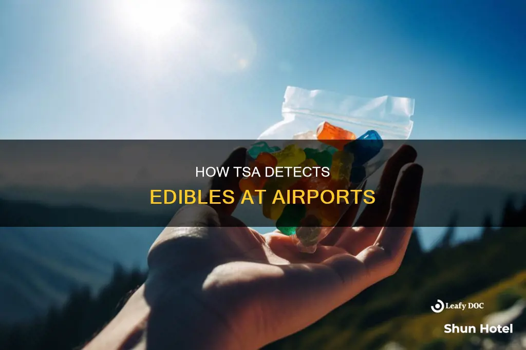 can airport tsa detect edibles