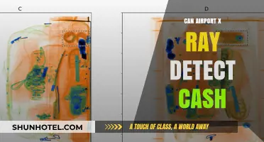 X-ray Vision: Can Airport Scanners Detect Cash?