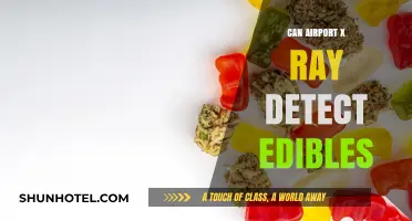 X-ray Vision: Can Airport Scanners See Edibles?