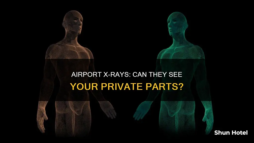 can airport x ray see your junk