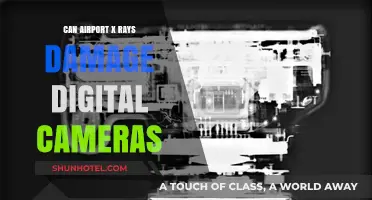 Airport X-Rays: Are Your Digital Cameras Safe?